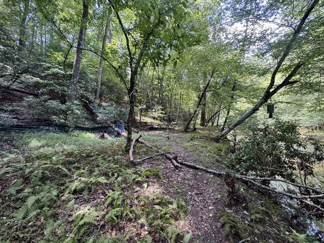 Lot 45 Gobbler Knob, Suches, GA 30572