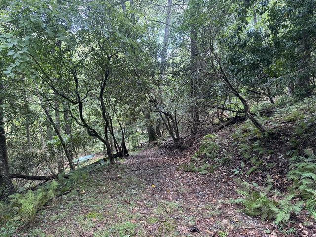 Lot 45 Gobbler Knob, Suches, GA 30572