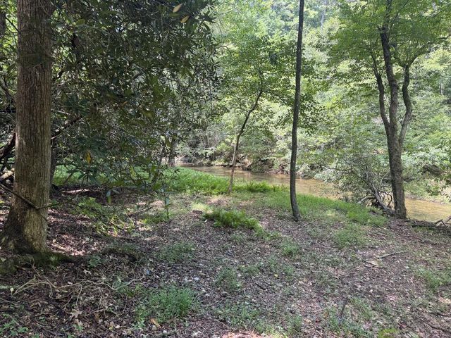 Lot 45 Gobbler Knob, Suches, GA 30572
