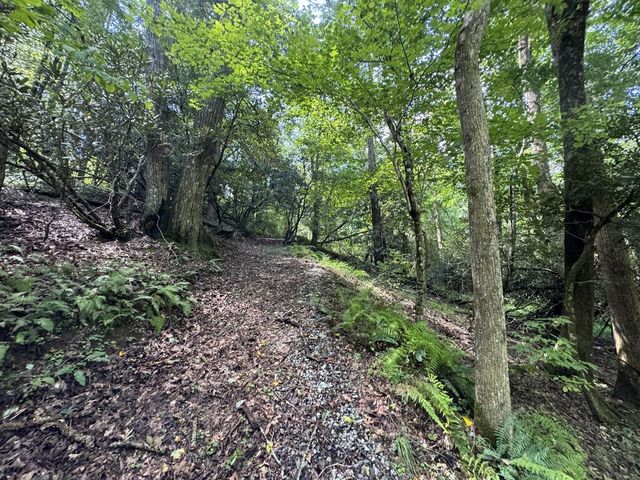 Lot 45 Gobbler Knob, Suches, GA 30572
