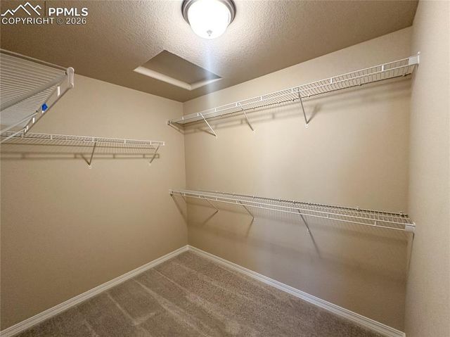 10922 Jolie Court, Falcon, CO 80831