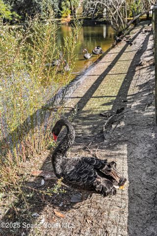 3311 Craggy Bluff Place, Cocoa, FL 32926