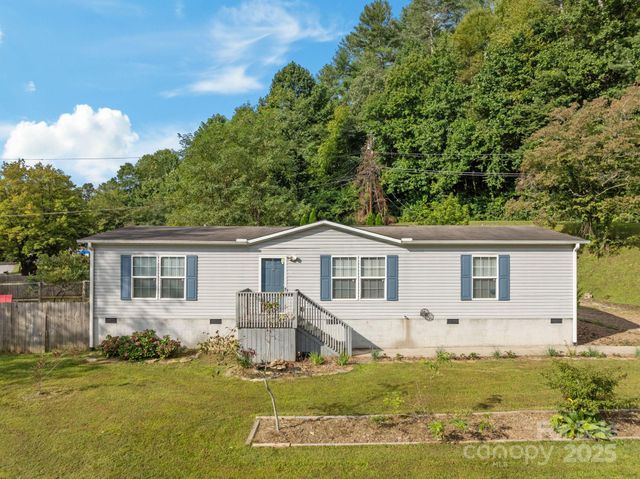 154 Turkey Pen Gap Road, Horse Shoe, NC 28742