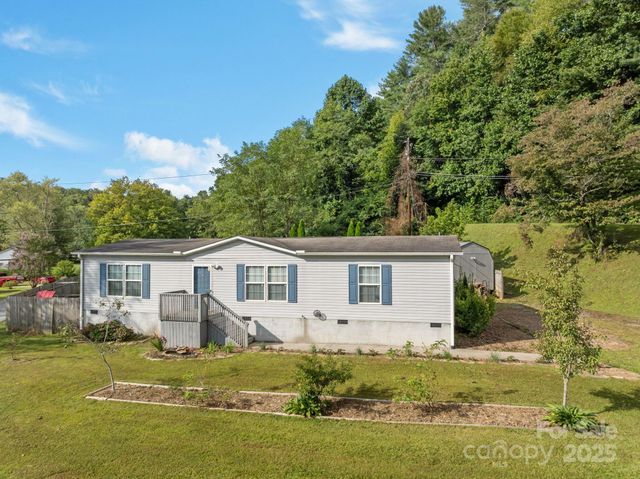 154 Turkey Pen Gap Road, Horse Shoe, NC 28742