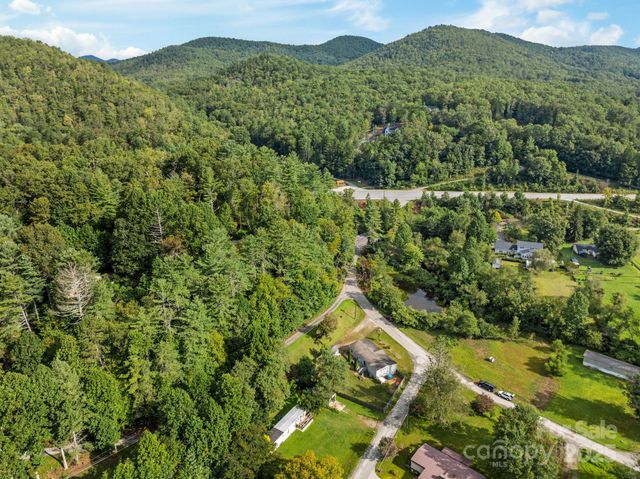 154 Turkey Pen Gap Road, Horse Shoe, NC 28742