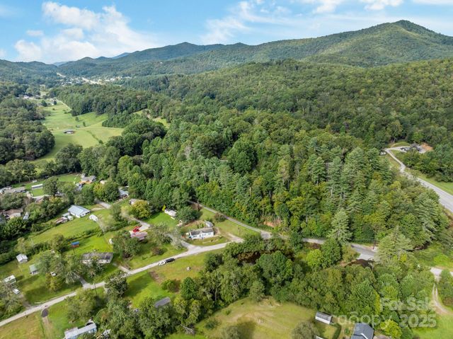 154 Turkey Pen Gap Road, Horse Shoe, NC 28742