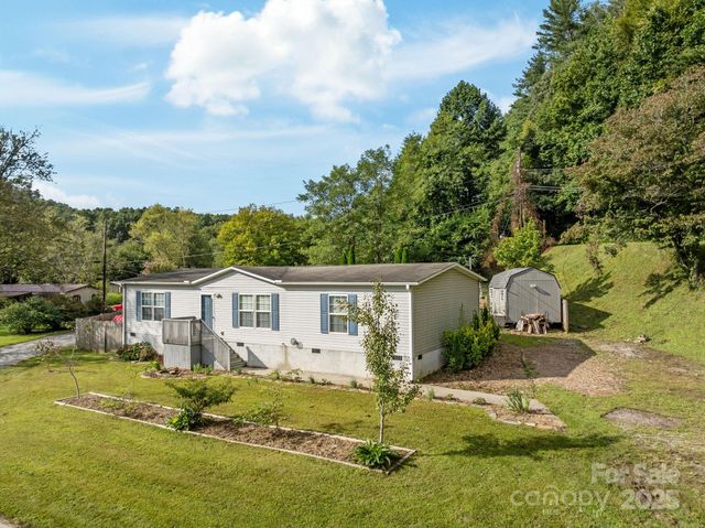 154 Turkey Pen Gap Road, Horse Shoe, NC 28742