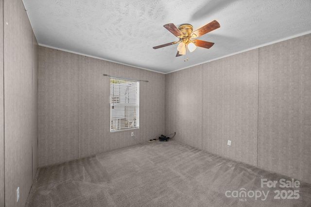 154 Turkey Pen Gap Road, Horse Shoe, NC 28742