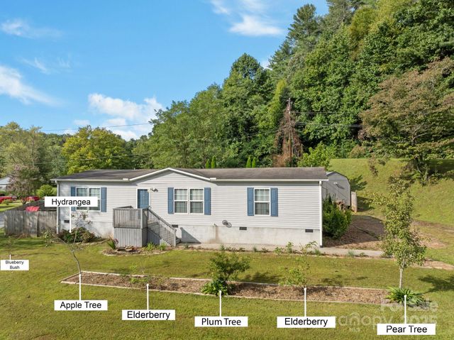 154 Turkey Pen Gap Road, Horse Shoe, NC 28742