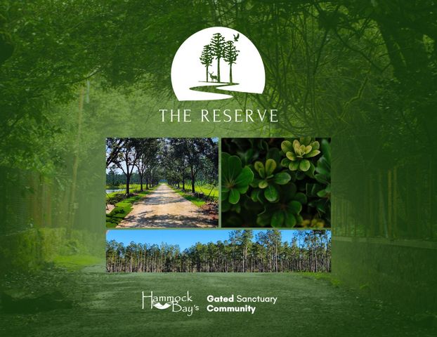 Lot 16 Reserve at Hammock Bay, Freeport, FL 32439