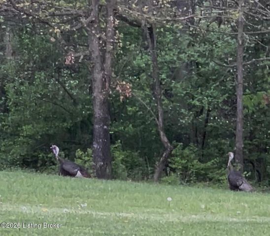 3712 Blossom Dr, La Grange, KY 40031