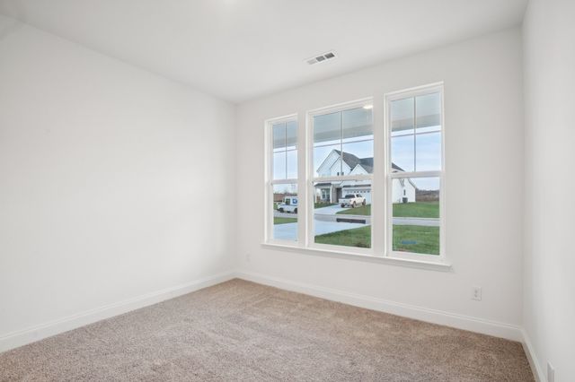 157 Emeline Way, Mount Juliet, TN 37122