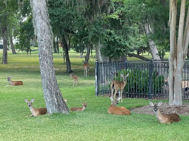 634 Royal Lakes Boulevard, Richmond, TX 77469