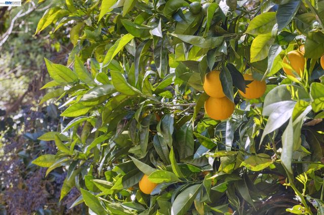 4539 ELINORA AVENUE, Oakland, CA 94619