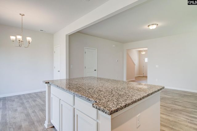 1056 Field Strip Road, Columbia, SC 29229