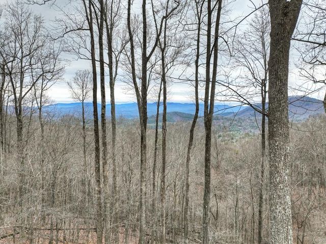 1189 Walnut Ridge, Ellijay, GA 30536