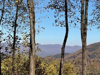 1189 Walnut Ridge, Ellijay, GA 30536