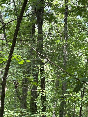 10 Pointe Trail, Murphy, NC 28906