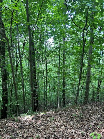 10 Pointe Trail, Murphy, NC 28906