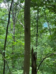 10 Pointe Trail, Murphy, NC 28906