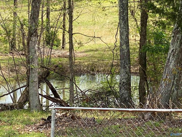 766 Key Turney Road, Falkville, AL 35622