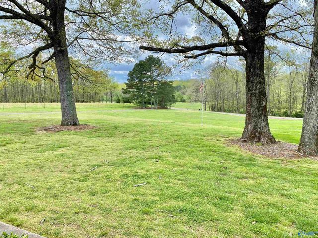 766 Key Turney Road, Falkville, AL 35622