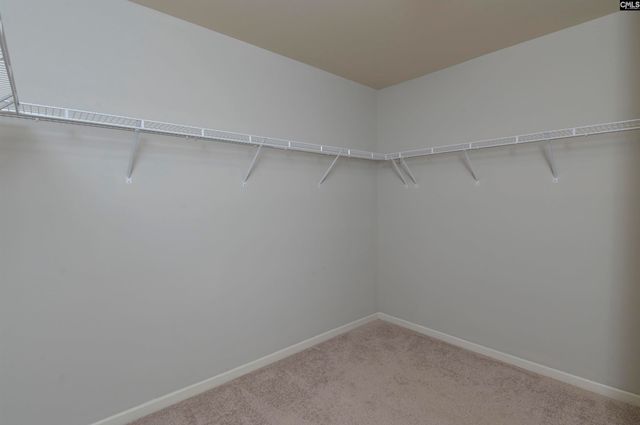 869 Sunseeker Drive, Chapin, SC 29036