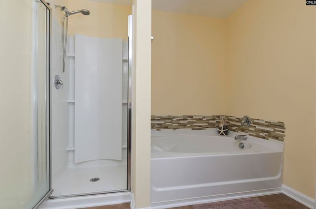 869 Sunseeker Drive, Chapin, SC 29036