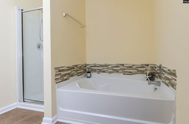 869 Sunseeker Drive, Chapin, SC 29036