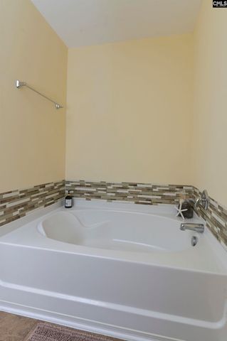 869 Sunseeker Drive, Chapin, SC 29036