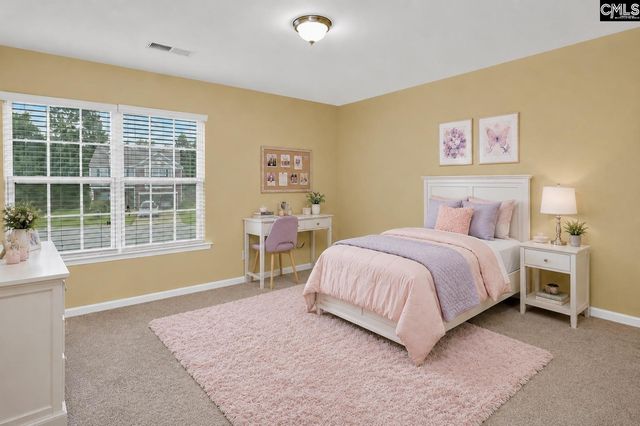 869 Sunseeker Drive, Chapin, SC 29036