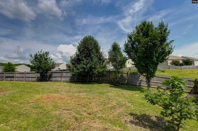 869 Sunseeker Drive, Chapin, SC 29036
