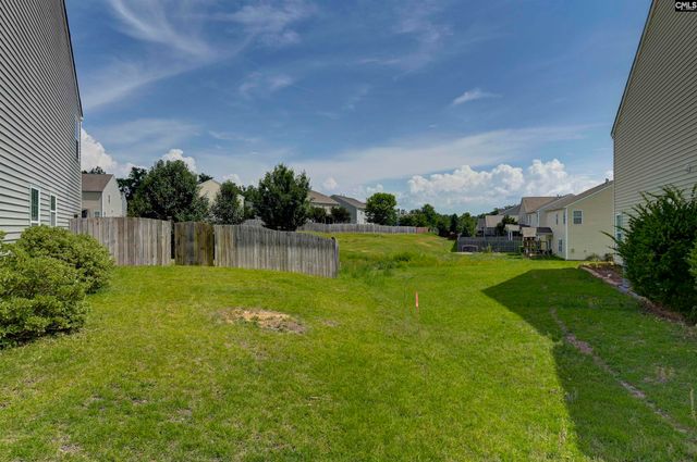 869 Sunseeker Drive, Chapin, SC 29036