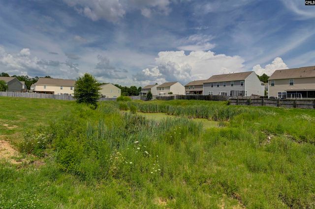 869 Sunseeker Drive, Chapin, SC 29036