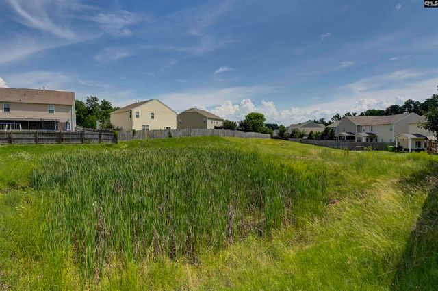 869 Sunseeker Drive, Chapin, SC 29036