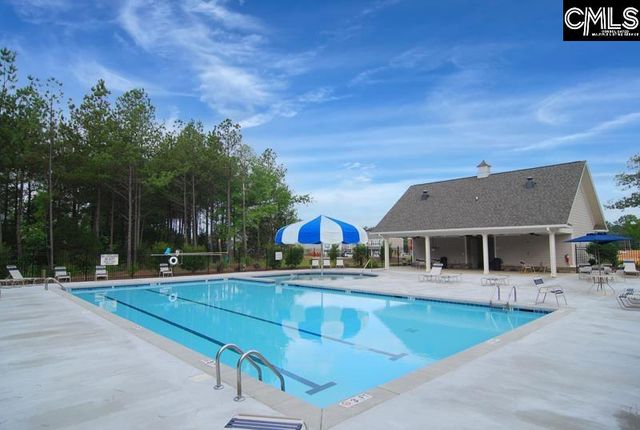 869 Sunseeker Drive, Chapin, SC 29036
