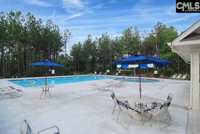 869 Sunseeker Drive, Chapin, SC 29036