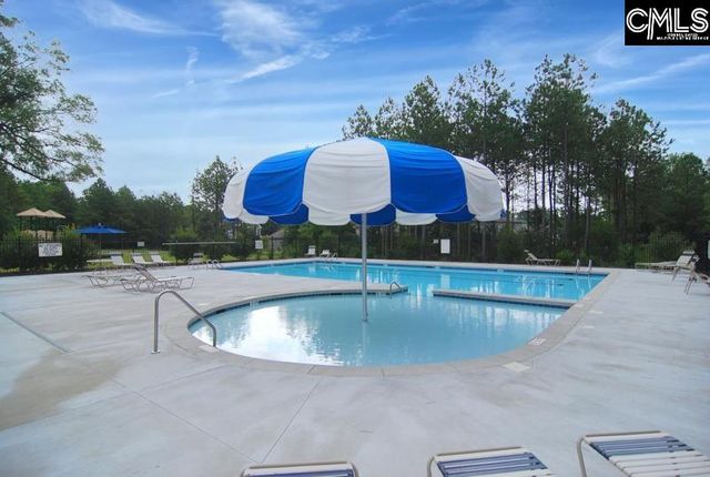 869 Sunseeker Drive, Chapin, SC 29036