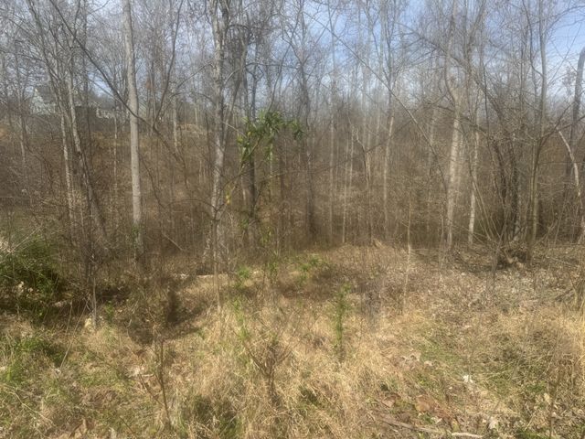 0 Ridgeway Drive, Smithville, TN 37166