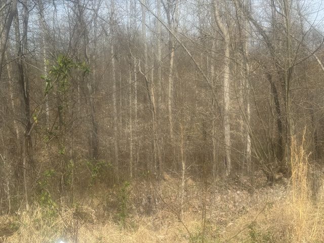 0 Ridgeway Drive, Smithville, TN 37166