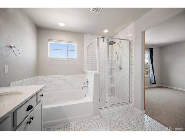 18425 Dunes Lake Ln, Monument, CO 80132