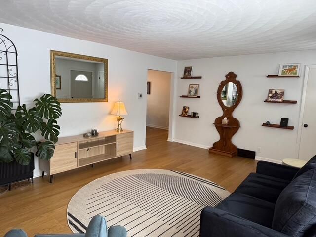 1033 Aster Street, Wayland, MI 49348