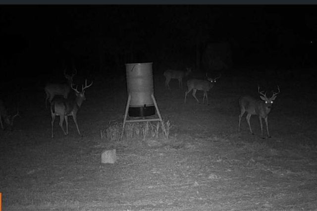 TBD2 N Fm 730, Decatur, TX 76234