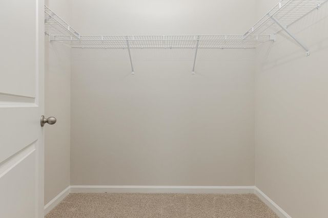 350 Acosta Circle, Conway, SC 29527
