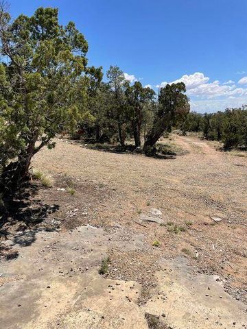 40 Morper Lane, Edgewood, NM 87015