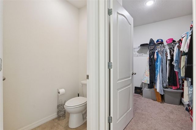 3139 BETHPAGE LOOP, Mount Dora, FL 32757