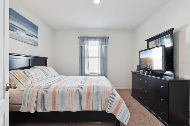 3139 BETHPAGE LOOP, Mount Dora, FL 32757