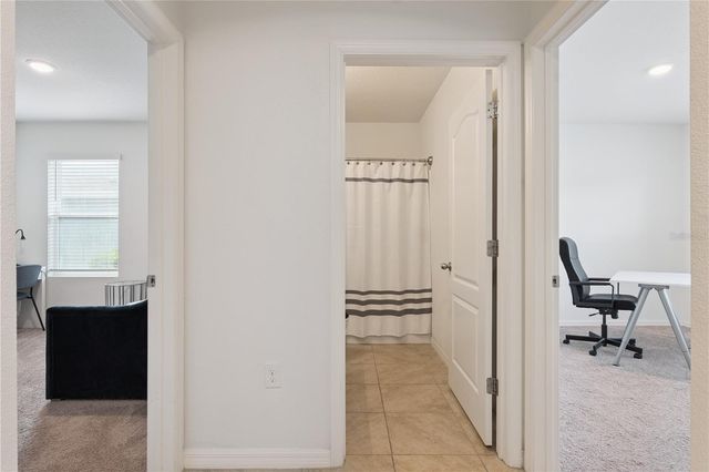 3139 BETHPAGE LOOP, Mount Dora, FL 32757