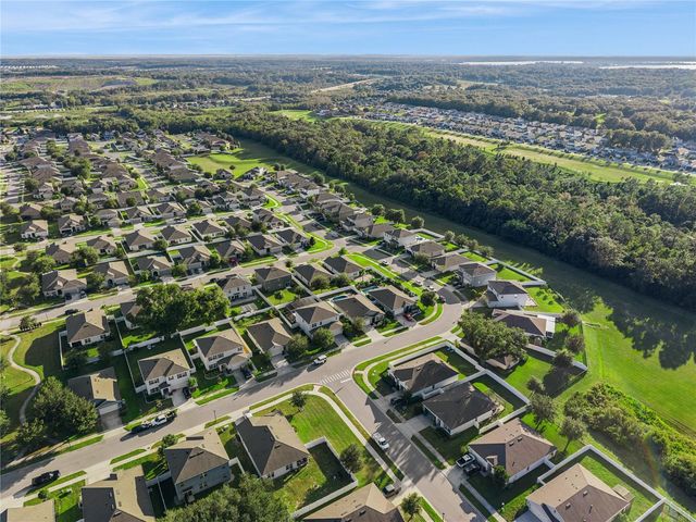 3139 BETHPAGE LOOP, Mount Dora, FL 32757
