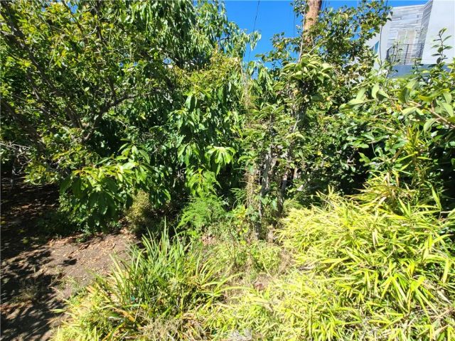 2016 Thurman Avenue, Los Angeles, CA 90016